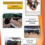Diapositiva Trujillo 2018