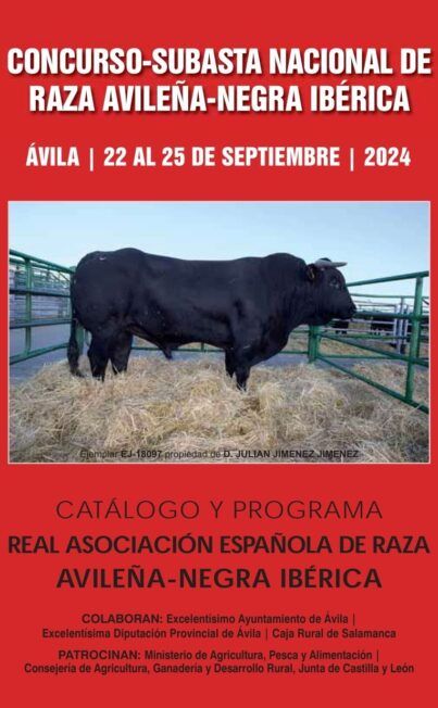 asociaci-n-raza-avile-a-home